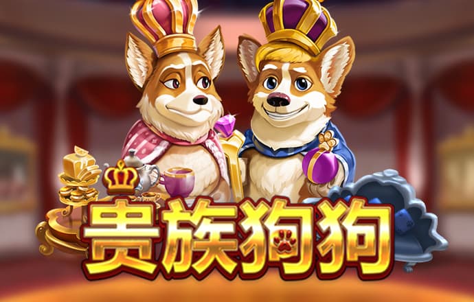 im电竞官网